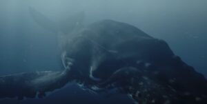 Netflix映画『パイレーツ 失われた王家の秘宝』の巨大クジラ